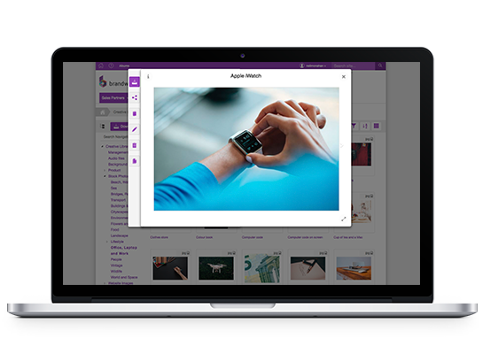Brandworkz DAM asset preview