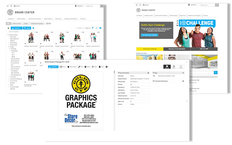 Golds-Gym-Brand-Management-Software-Case-Study