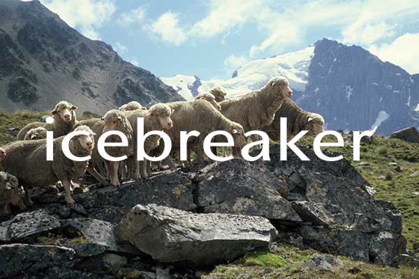 Icebreaker-Case-Study-Listing