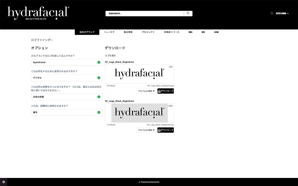 Multilingual4