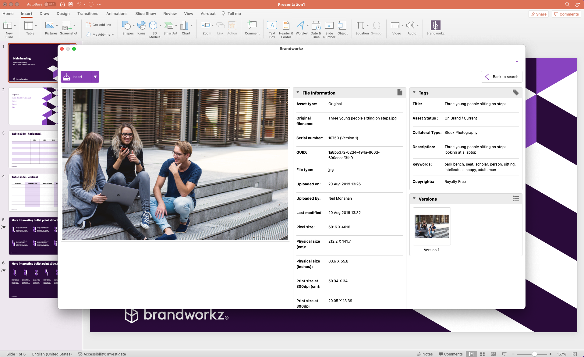 Brandworkz asset preview with associated metadata